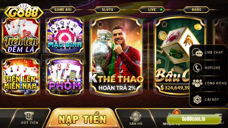 Banner www.saletaichinh.com